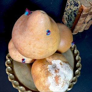 set of 4 dry birdhouse gourds